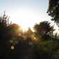 Sky-IMG_0705