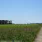 Sky-IMG_0315