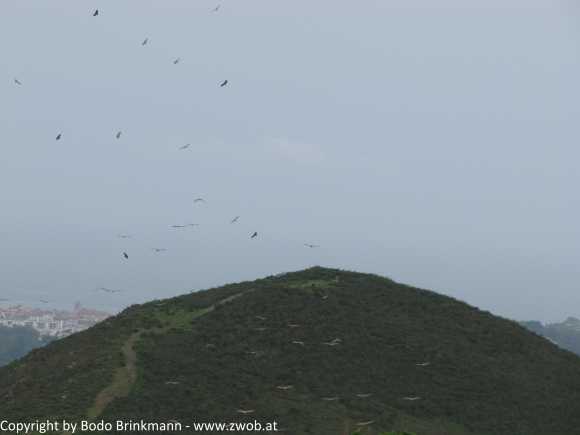 Sky-IMG_0556