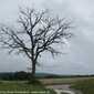 Sky-IMG_0009