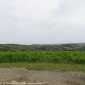 Sky-IMG_0535