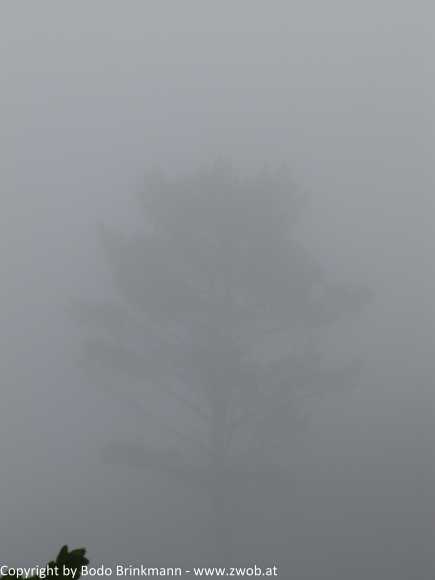 Sky-IMG_0655