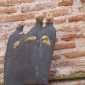 Sky-IMG_0119
