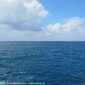 Sky-IMG_0855