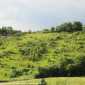 Sky-IMG_0064