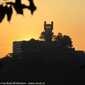 Sky-IMG_0650