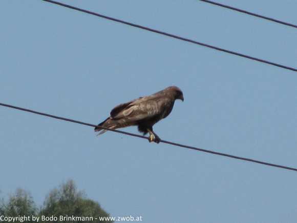 Sky-IMG_0813