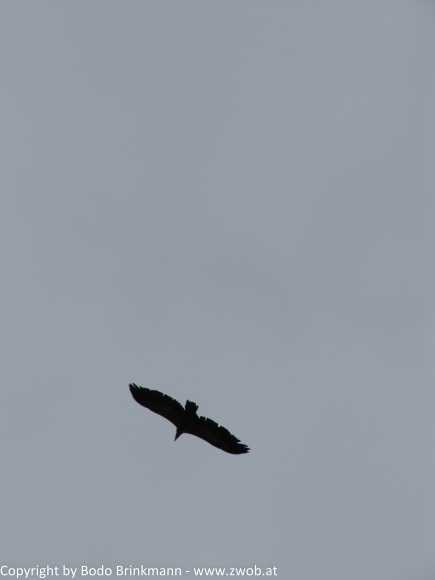 Sky-IMG_0562