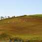 Sky-IMG_0708