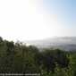 Sky-IMG_0600