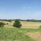 Sky-IMG_0338