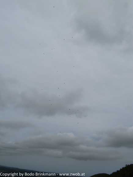 Sky-IMG_0561