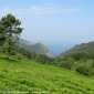 Sky-IMG_0609