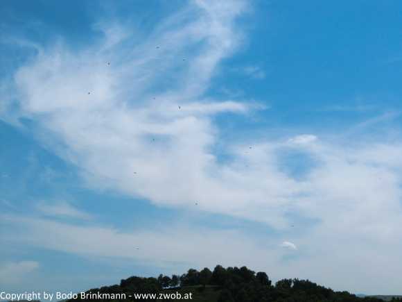 Sky-IMG_0470