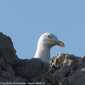 Sky-IMG_0871