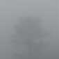 Sky-IMG_0655