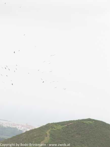Sky-IMG_0559