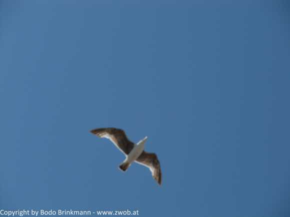 Sky-IMG_0935