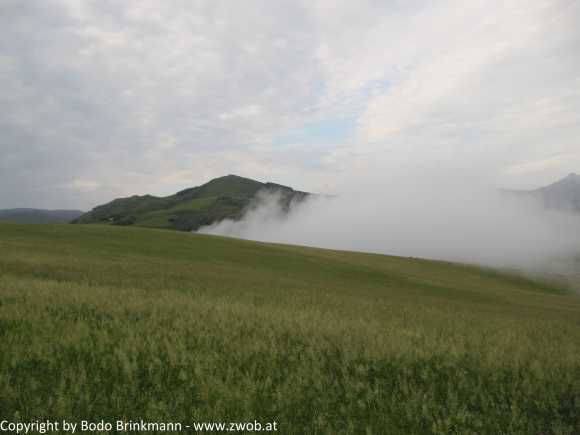 Sky-IMG_0529