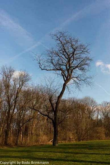 Sky-IMG_1176