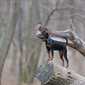 Sky-_MG_1949
