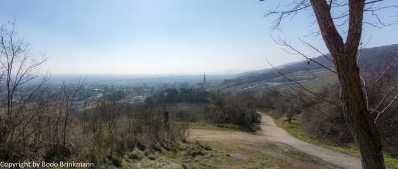 DSC02925-Bearbeitet