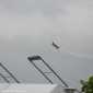 _MG_4902