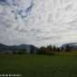 _MG_0649