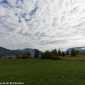 _MG_0646