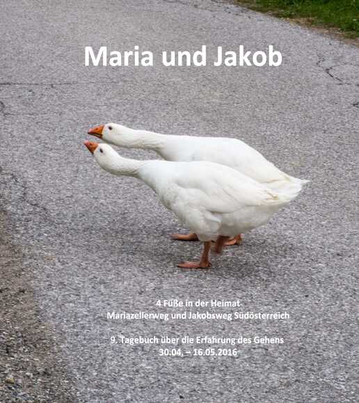 Titelbild
