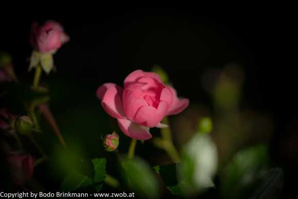 Sky-DSC00795