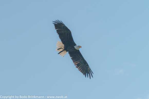 Sky-DSC00834