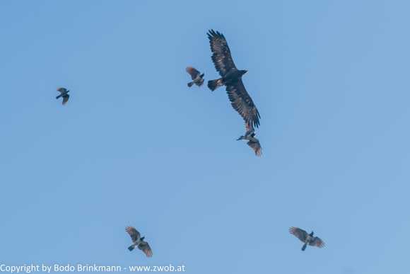 Sky-DSC00836