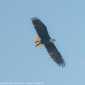Sky-DSC00834