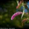 2016-10-13 Steiermark mit Julia