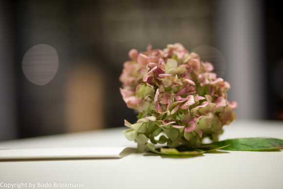 Sky-IMG_0252
