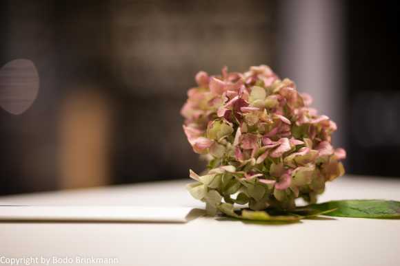 Sky-IMG_0254