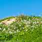 Sky-DSC02107