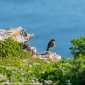 Sky-DSC02638