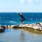 Sky-DSC02295