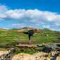 Sky-DSC02331