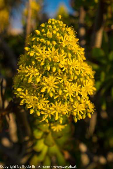 Sky-DSC02043