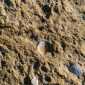 Sky-DSC02604