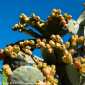 Sky-DSC02127