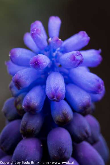 Sky-_MG_2890
