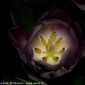 Sky-_MG_2982