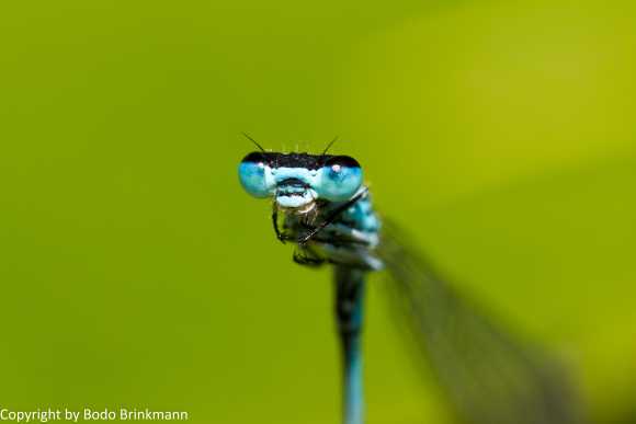 Sky-IMG_3443