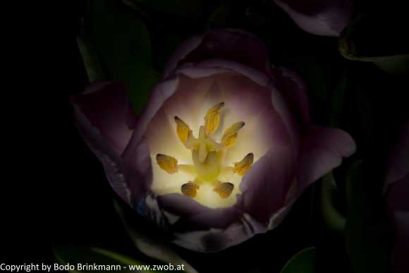 Sky-_MG_2982