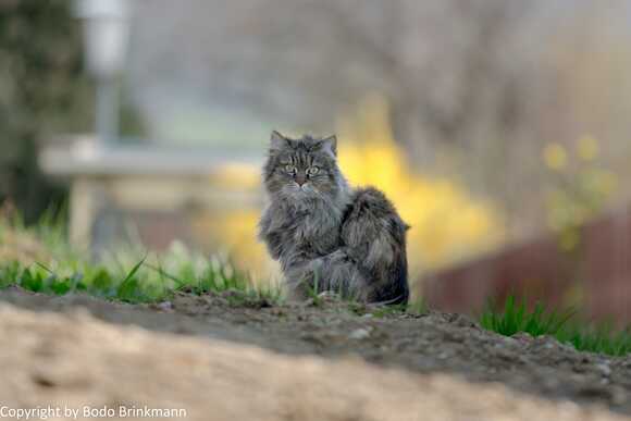 Sky-_MG_2676