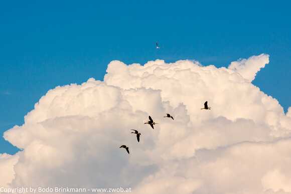 Sky-_MG_9992